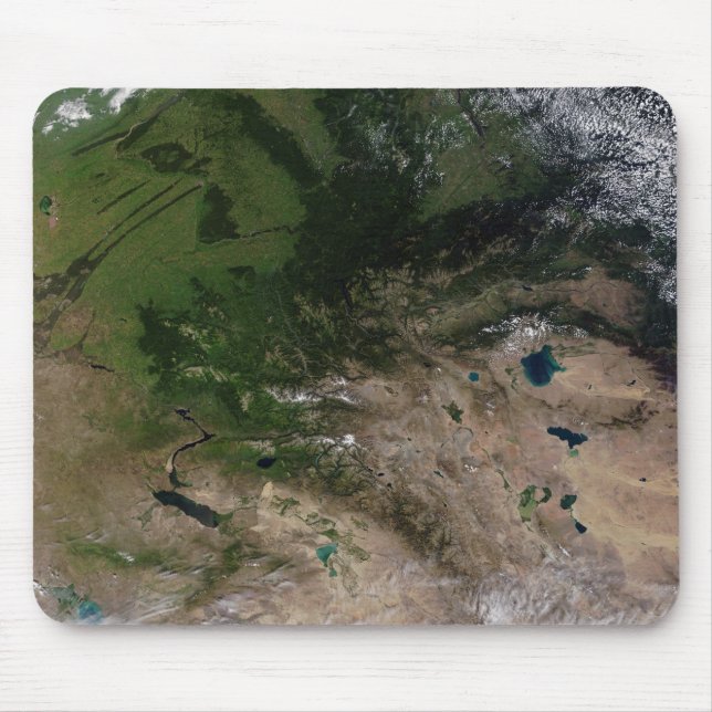 Tapis De Souris Le changement de végétation (Devant)