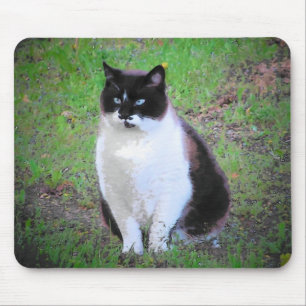 TAPIS DE SOURIS LE CHAT MUSTACHE EST EN TRAIN DE REGARDER