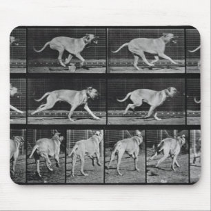 Tapis De Souris Le chien courant, plaquent 707 "de la locomotion