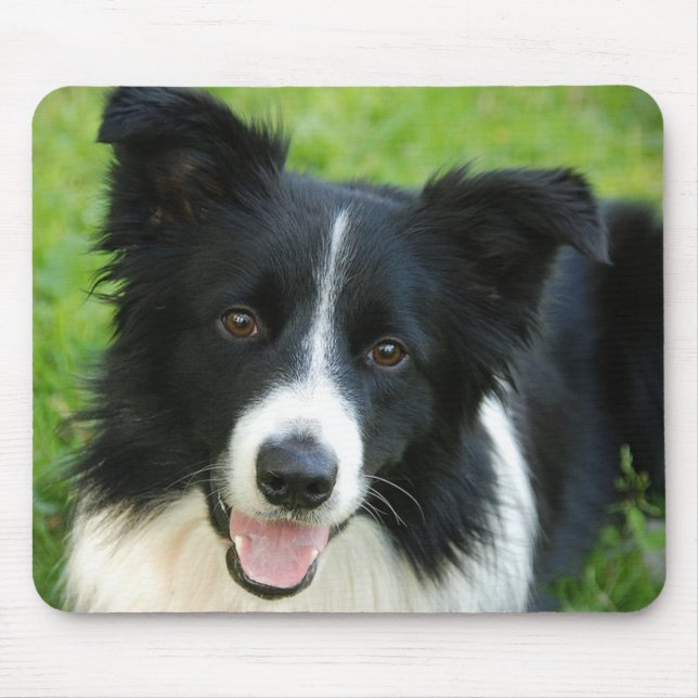 Tapis De Souris Le chien de border collie ajoutent l'animal (Devant)