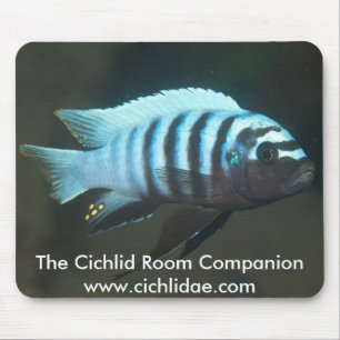 Tapis De Souris Le compagnon de pièce de Cichlid - zèbre de