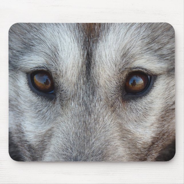 Tapis De Souris Le coquelicot mousepad donne des chiens de traînea (Devant)