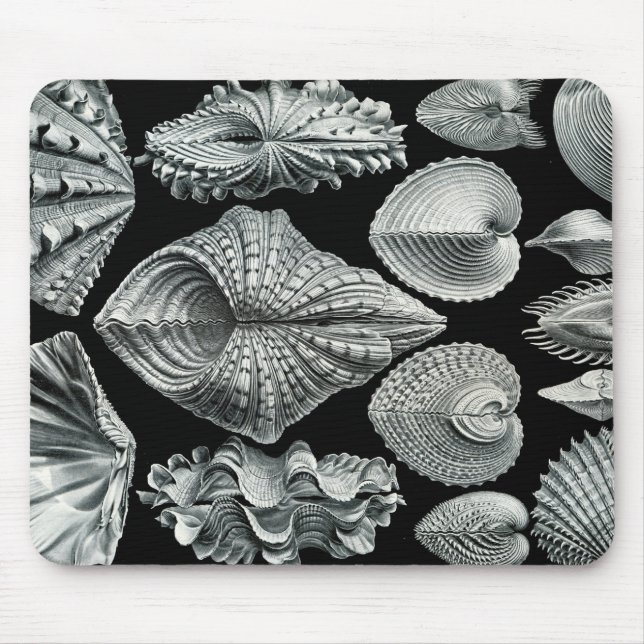 Tapis De Souris Le cru d'Ernst Haeckel écosse Mousepad (Devant)