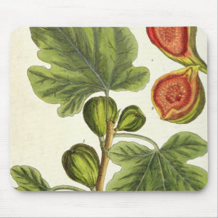 Tapis De Souris Le figuier, plaquent 125 "d'un de fines herbes