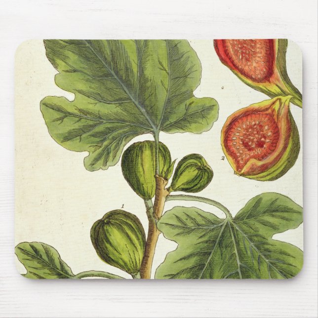 Tapis De Souris Le figuier, plaquent 125 "d'un de fines herbes (Devant)
