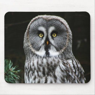 Tapis De Souris Le grand hibou gris mpcnm