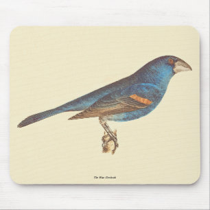 Tapis De Souris Le Grosbeak bleu, les oiseaux new-yorkais de James