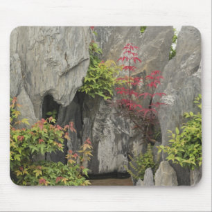 Tapis De Souris Le jardin de la famille Bao, Huangshan, Chine.