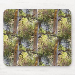 Tapis De Souris Le Jour des Arbres...