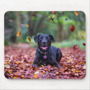 Tapis De Souris Le Labrador Noir Dans Les Feuilles D'Automne