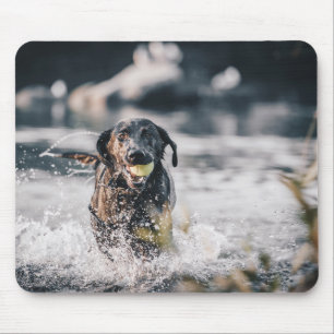 Tapis De Souris Le Labrador Noir Joue Dans L'Eau