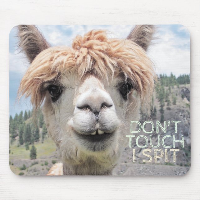 Tapis De Souris Le lama drôle d'alpaga ne me touchent pas crachent (Devant)