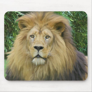 Tapis De Souris Le lion