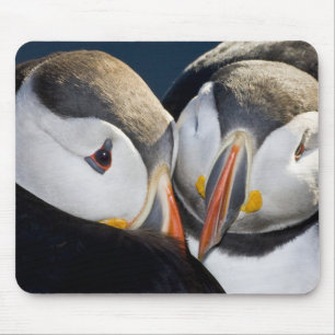 Tapis De Souris Le Macareux atlantique, un oiseau de mer pélagique