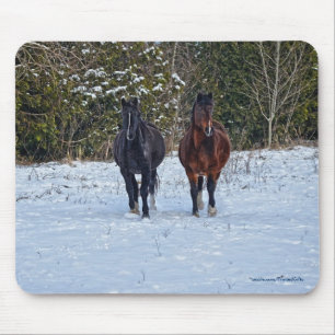 Tapis De Souris Le magnifique animal équin de l'amoureux du cheval