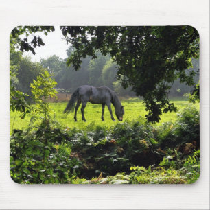 Tapis De Souris Le magnifique animal équin de l'amoureux du cheval