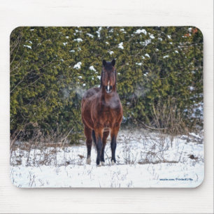 Tapis De Souris Le magnifique animal équin de l'amoureux du cheval