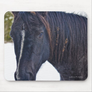 Tapis De Souris Le magnifique animal équin de l'amoureux du cheval
