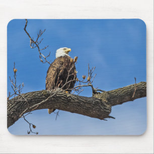 Tapis De Souris Le Noble aigle des chauves-souris