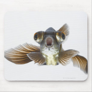 Tapis De Souris Le noir amarrent le poisson rouge (l'auratus de