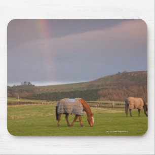 Tapis De Souris Le Northumberland, Angleterre