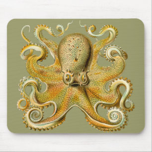 Tapis De Souris Le poulpe d'Ernst Haeckel