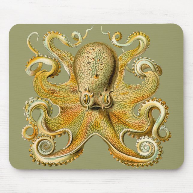 Tapis De Souris Le poulpe d'Ernst Haeckel (Devant)