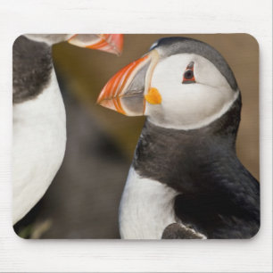 Tapis De Souris Le Puffin Atlantique