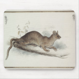 Tapis De Souris Le putois, 19ème siècle
