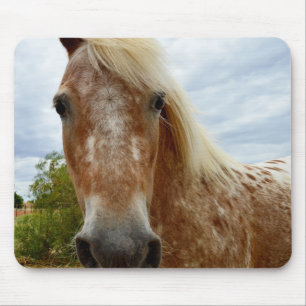 Tapis De Souris "Le sucre : la grâce de l'Appaloosa"