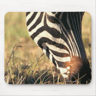 Tapis De Souris Le zèbre de Burchell