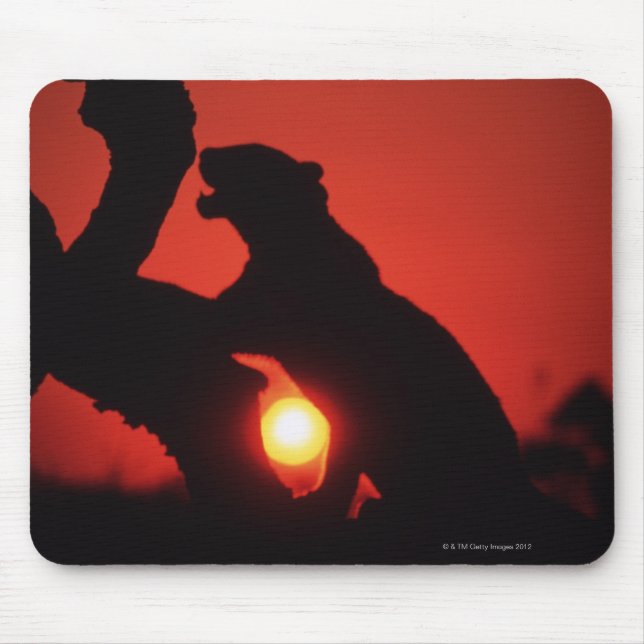 Tapis De Souris léopard (Devant)