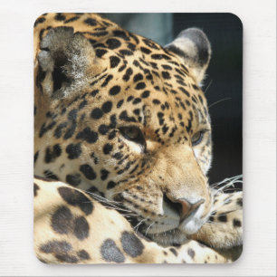 Tapis De Souris Leopard 004