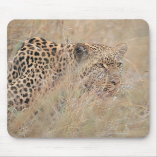 Tapis De Souris Léopard de vagabondage se cachant dans la prairie