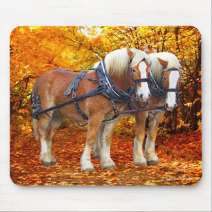 Tapis De Souris "L'équipe Hayride"