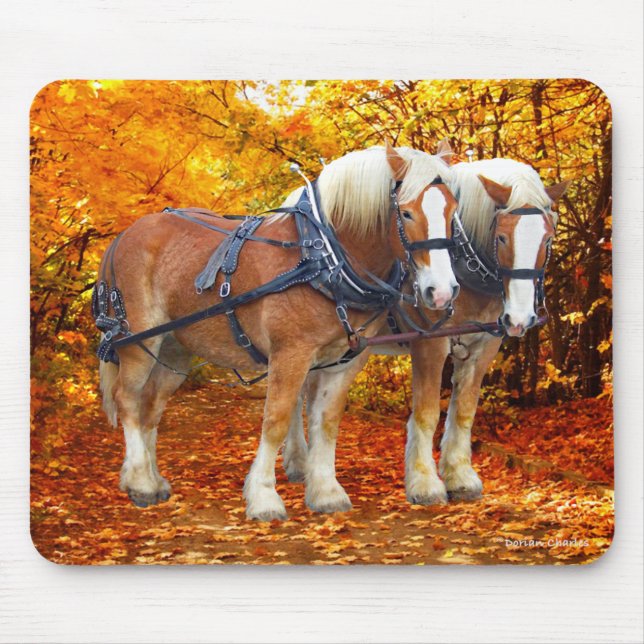Tapis De Souris "L'équipe Hayride" (Devant)