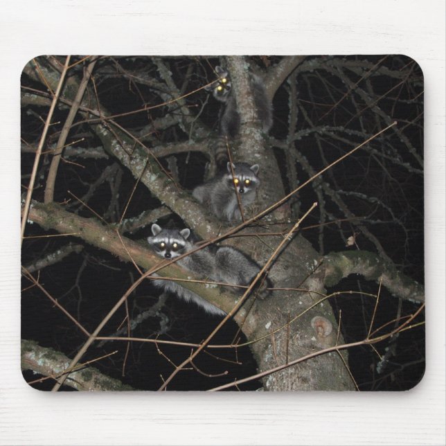 Tapis De Souris Les 3 bandits (Devant)