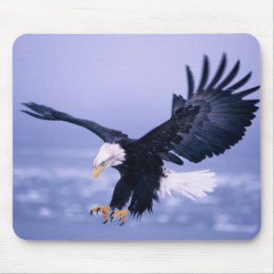 Tapis De Souris Les ailes d'atterrissage de l'aigle à tête blanche