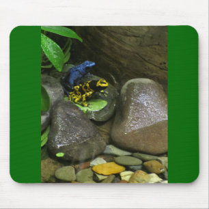 Tapis De Souris Les amis de la grenouille