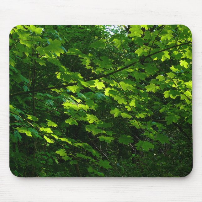 Tapis De Souris Les arbres au printemps. Bute Park, Cardiff. Pays  (Devant)