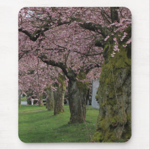 Tapis De Souris Les cerisiers en fleurs du printemps