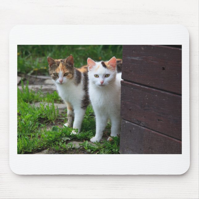 Tapis De Souris Les chats jouent (Devant)