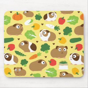 Tapis De Souris Les Cochons De Guinée Et Leurs Traitements
