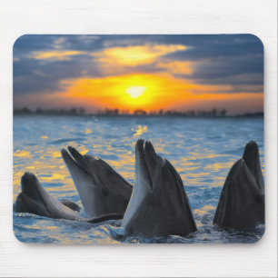Tapis De Souris Les dauphins bouteille-flairés dans la lumière d