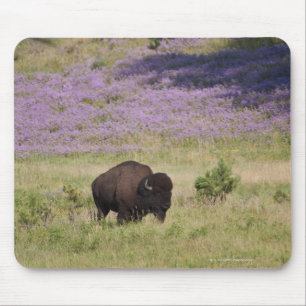 Tapis De Souris Les Etats-Unis, le Dakota du Sud, bison américain