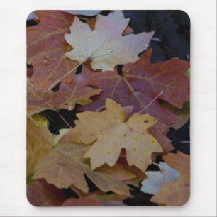 Tapis De Souris Les feuilles d'automne tout autour