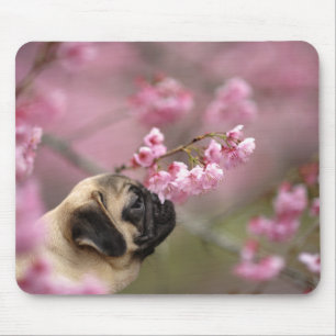 Tapis De Souris Les fleurs de cerisiers d'Carlin