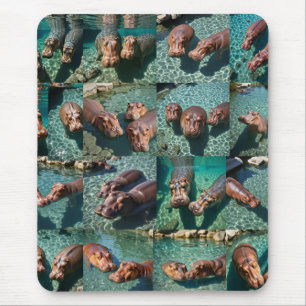 Tapis De Souris Les hippopotames en jeu : Un paradis d'étang
