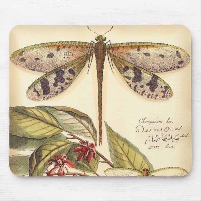 Tapis De Souris Les libellules aux Feuilles et aux fruits (Devant)