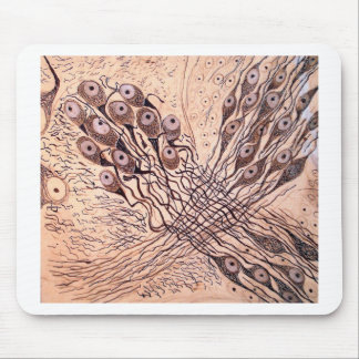 Tapis De Souris Les neurones 1 de Cajal